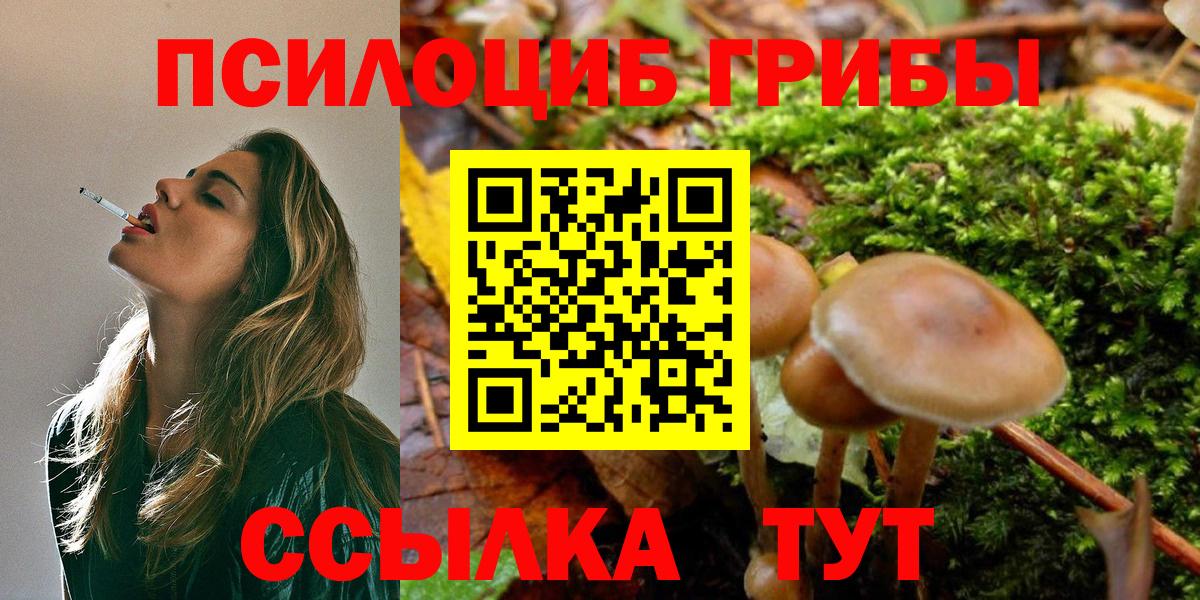Галлюциногенные грибы Magic Shrooms  Вход с VPN  Тайшет 